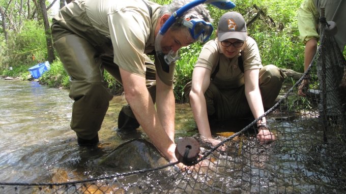 Photo: Biologists set a fyke set to catch sicklefin redhorses. Credit: G. Peeples